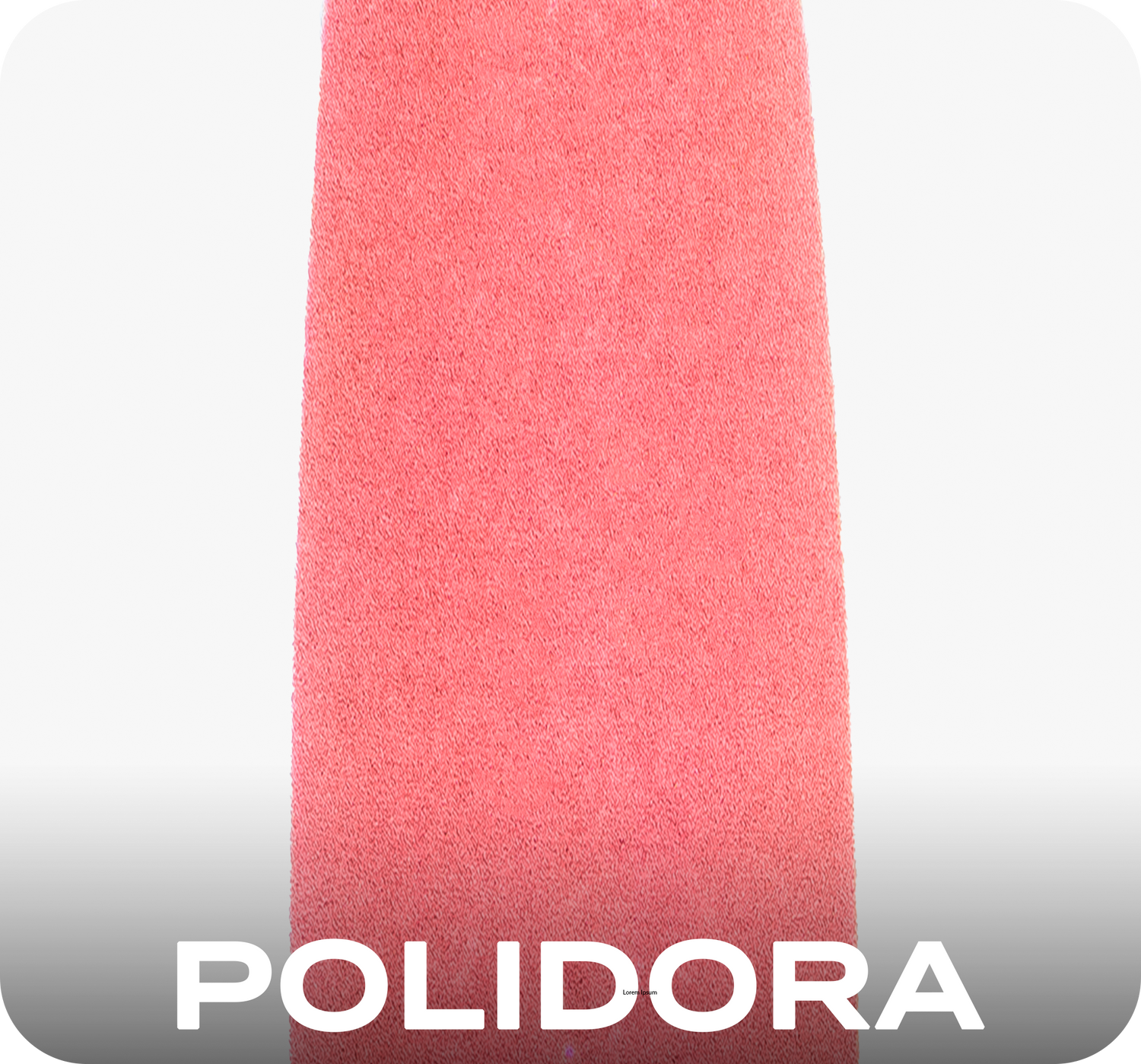 POLIDORA